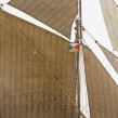 Navomodel macheta Billing Boats WILL EVERARD (580 mm)