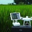Drona DJI Phantom 4 Multispectral cu D-RTK2 Mobile Station Combo (Enterprise)